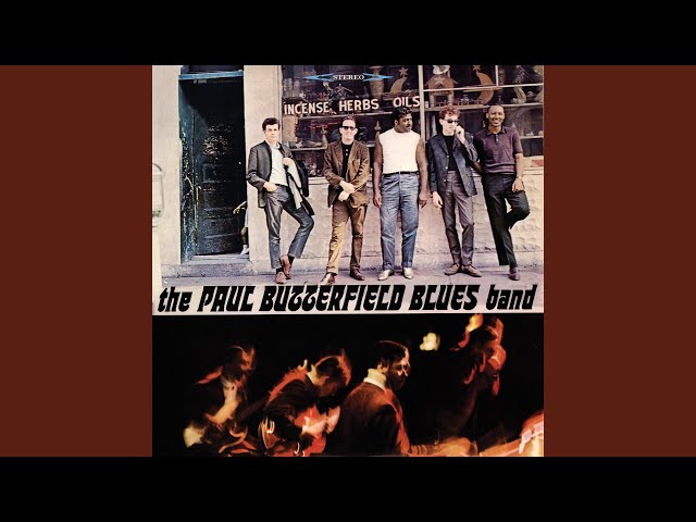 The Paul Butterfield Blues Band: dalla carriera alla musica, il meglio dei concerti