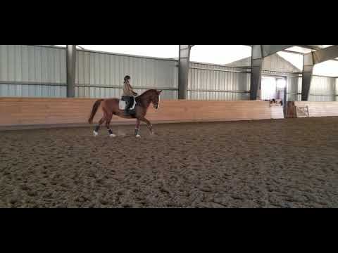 Lesson with Melissa and Kate on Jag