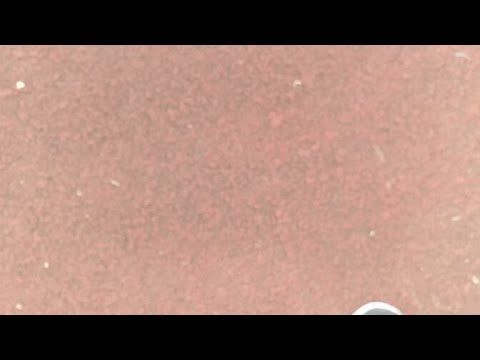 Jyväskylä Cup 10.6.18 Pronssipeli vs. PaRi tytöt -06