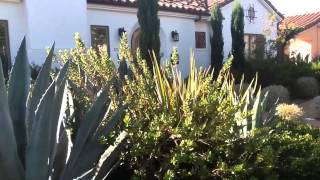 Woolwine fixer    City Terrace