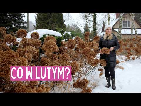 What to do in the garden in February? What to sow, what to cut, when to wait?