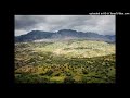 Neotropic - Under Violent Objects