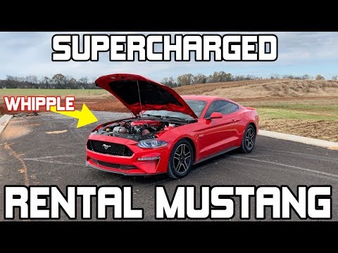 This 2018 Mustang RENTAL Car is BOOSTED! - Whipple 3.0 Supercharger