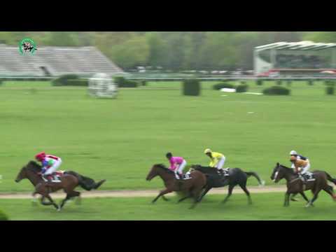 BA 9.4. Dostihy 4 - Cena Kultúrnych zariadení Petržalky