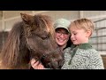 Horse Shelter Heroes: Episode 8 - February 20-26