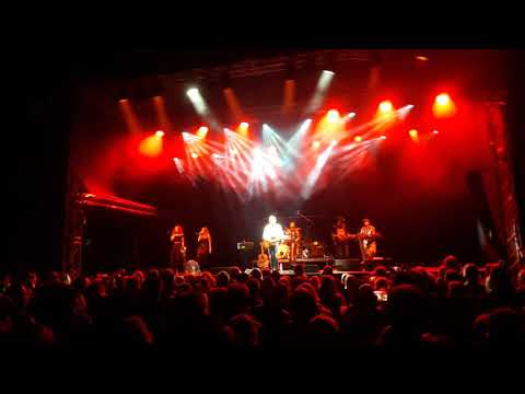 Janek Ledecký - všechno bude fajn