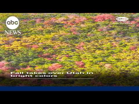 Fall takes over Utah in bright colors