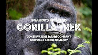 preview picture of video 'Rwanda & Gorillas 2015 HD'