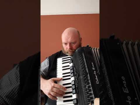 Roberto Enzo Accordion retuning