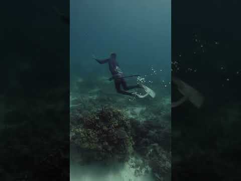 These Guys Can Hold Their Breath for 13 Minutes