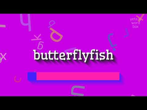 HOW TO SAY BUTTERFLYFISH?