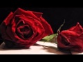 Canoe Rose Viktor Lazlo 