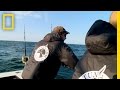 Anchor Line National Geographic
