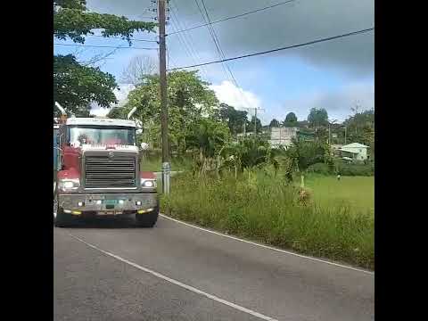 jamaican truckers/ivor Wong international 9900i cat C15🔥👍🇯🇲#tufftruckersja #viral #shorts