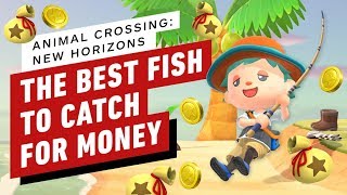 Animal Crossing New Horizons: The Best Fish to Catch for Money