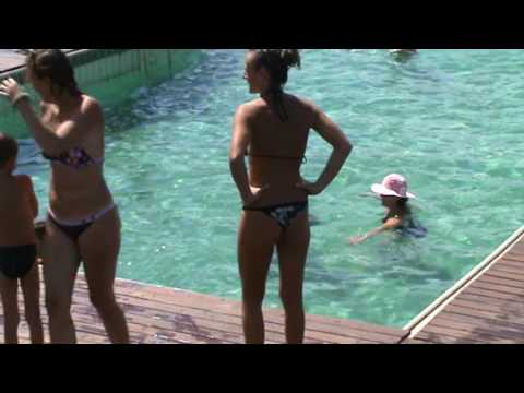 Apollo SPA Targu Mures