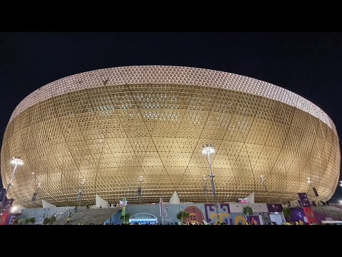 Serbia Goalkeeper Vanja Milinković Denied Multiple Strike | Brazil vs Serbia