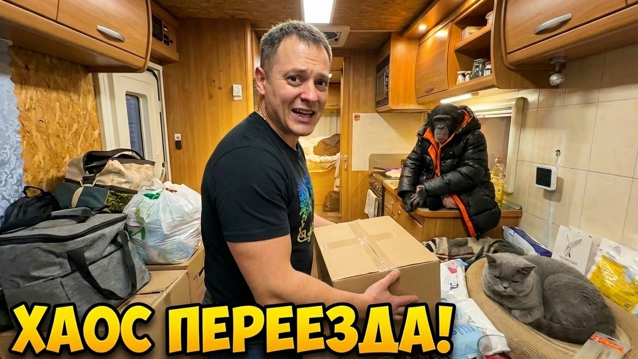 Безумный Переезд Шимпанзе в Цирк Душанбе!