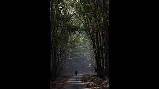 Download lagu Keanehan Di Desa DAVUTLU, Turki😰 ... #shorts mp3 Download lagu Keanehan Di Desa DAVUTLU, Turki😰 ... #shorts mp3