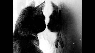 Bohren & der Club of Gore - Destroying Angels