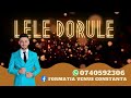 Edi Constantin & Formația Venus Constanța - Lele Dorule ( cover Theo Rose x Pindu ) | LIVE