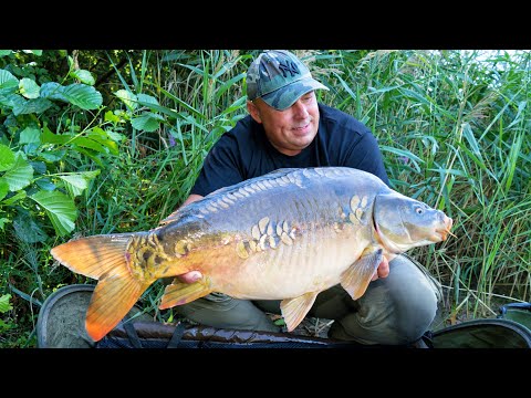 Karpfenangeln VTB 93 - Traum-Session am Parksee