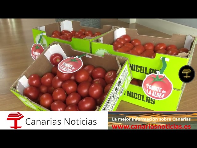 SPAR Gran Canaria firma 6º convenio del tomate de La Aldea