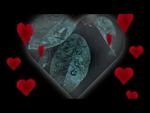 Hương tình Sheet - Thái Hiền