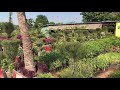 Beauty Home Garden and Nursery Kota
