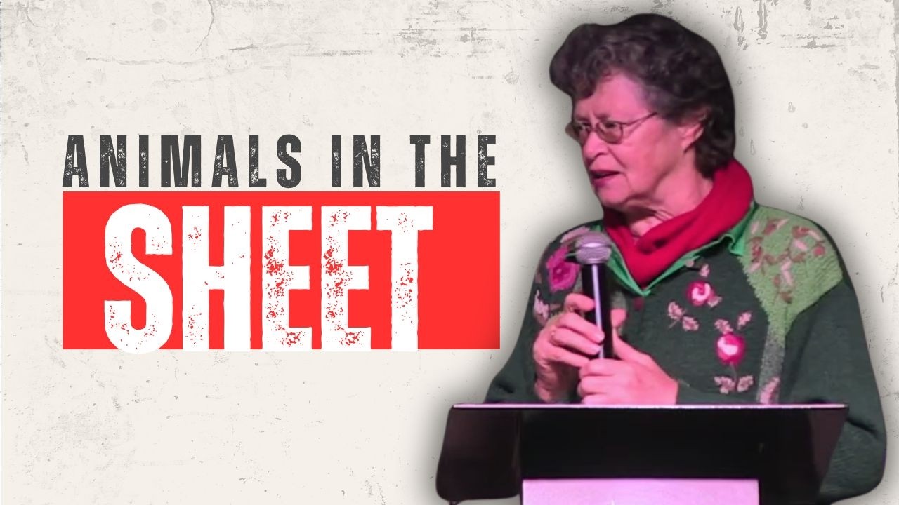 Animals In The Sheet | Brenda | Worcester Christen Gemeente