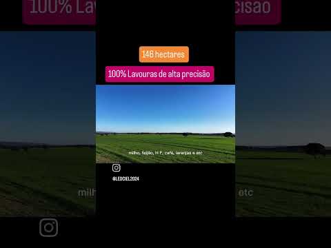 vende se fazenda 146 hectares, lavouras, casas, curral ordenha,  61 98665 2087,  Formosa GO