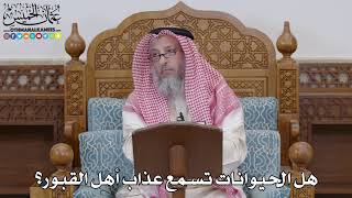 1684 - هل الحيوانات تسمع عذاب أهل القبور؟ - عثمان الخميس