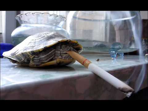 Pinkerton Thugs - The Times