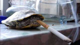 Pinkerton Thugs - The Times