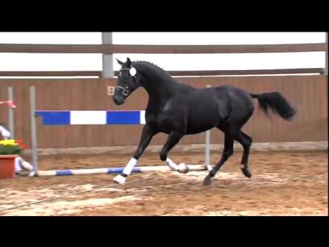 23 Dancier Weltmeyer HQ