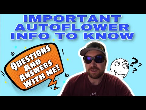 Important Autoflower Info To Know - Questions and Answers with DrAutoflower