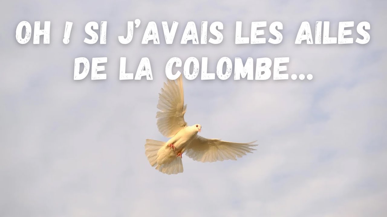 Culte du 30 novembre 2025