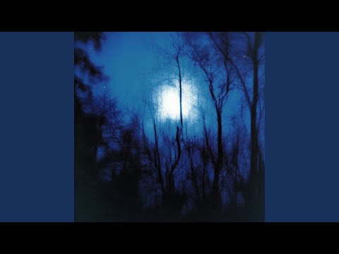 Video thumbnail for She Is the Daylight