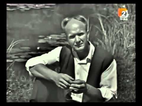 Miha Dovžan in kvintet Gorenjci - Se zunaj mrači