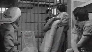 Down By Law (1986) TRAILER