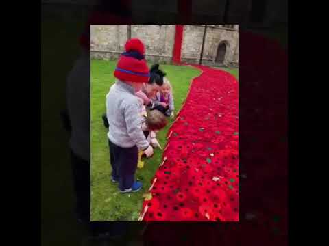 Buttercups at Selby Abbey