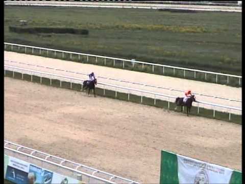 2009.Летний Приз на лош. 2 х лет ар. пор.- Вензель.