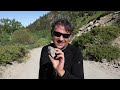 A Geological Road Trip to Mineral King