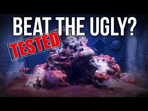 Can You Beat Algae or Skip the "Ugly Brown Phase" Using a UV Sterilizer in a New Saltwater Tank?