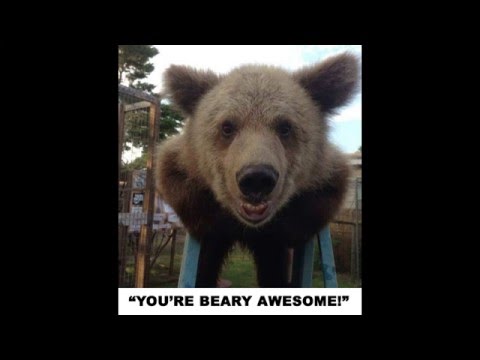 Thanks for Supporting Single Vision's Dream!