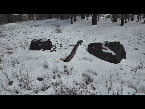 Visitors flock to Mount Laguna as San Diego County mountains see first snowfall of season