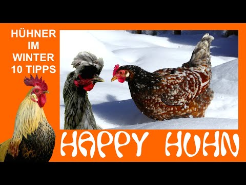 , title : 'E160 Die 10 bestenTipps für die Hühnerhaltung im Winter - HAPPY HUHN - Heizung Stall Wasser Futter'