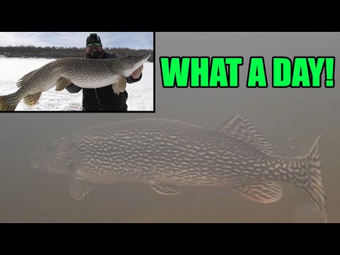 Insane Day of Ice Fishing for GIANT PIKE!