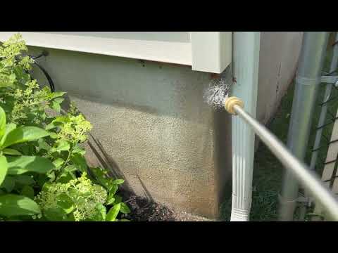 Marching Up the Side of the Home Are Ants in...