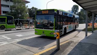(和興白花油 Full Body Advertisement) SG1157M(SEDEP) On Service 860 At Yishun Ring Road 